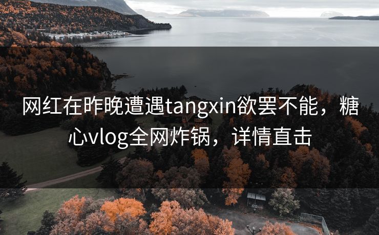 网红在昨晚遭遇tangxin欲罢不能，糖心vlog全网炸锅，详情直击