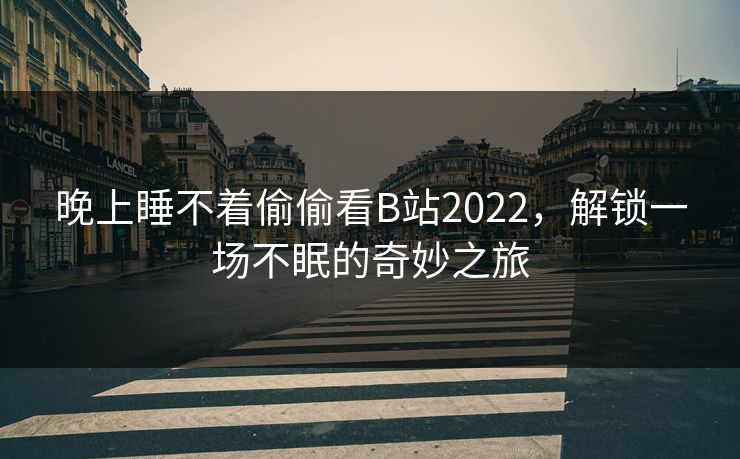 晚上睡不着偷偷看B站2022，解锁一场不眠的奇妙之旅