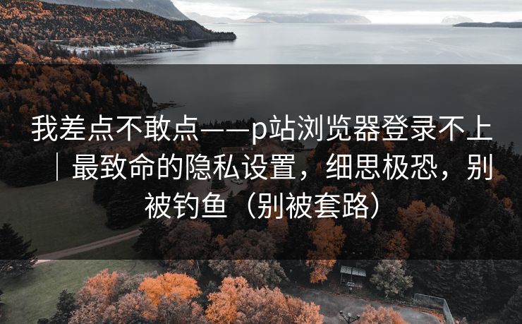 我差点不敢点——p站浏览器登录不上｜最致命的隐私设置，细思极恐，别被钓鱼（别被套路）